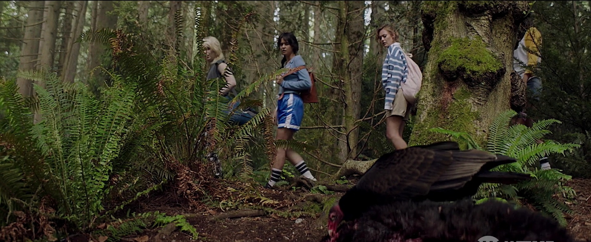 Yellowjackets 15.jpg